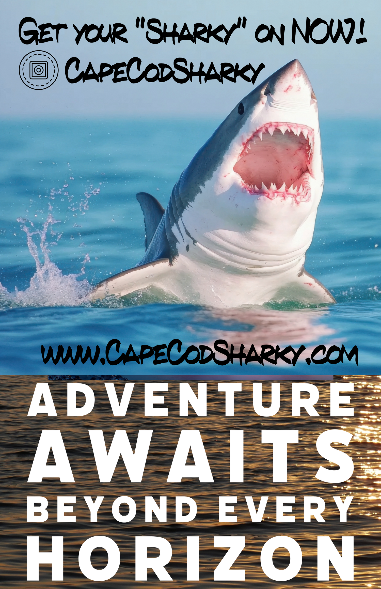 Cape Cod Blues & Cape Cod Sharky